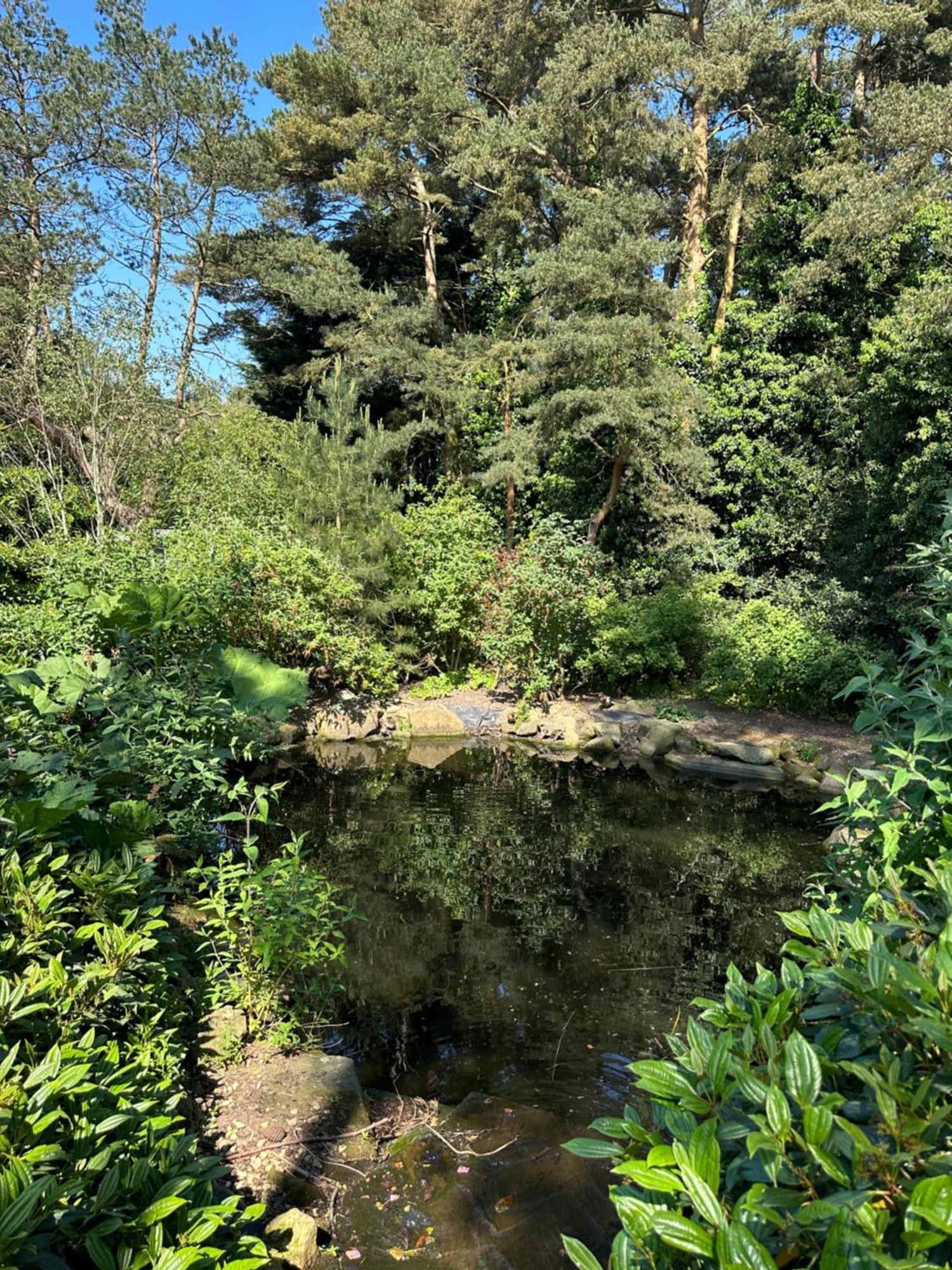 Wild Duck Haven * Belton with Browston